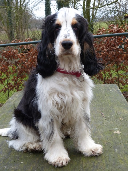 Olaf is alweer 7,5 maand oud